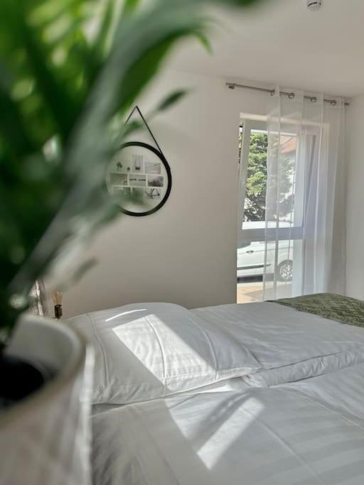Amao-Pearl I Comfort Suite I 94Qm I Kingsize-Bett I Exklusiv Mit Balkon & Tiefgarage I Aufzug Offenburg Exterior photo